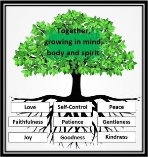 Values jpeg